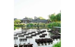 2026郴州夏季团建新篇：贝塔团建以‘长安的荔枝’解锁国风团建新体验